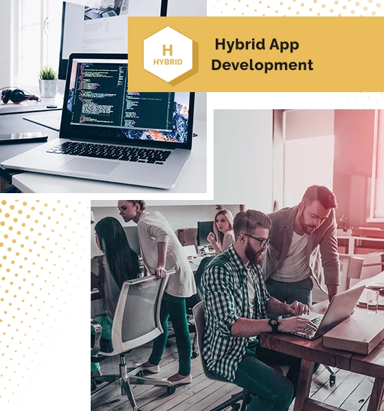 Hybrid App Development Company